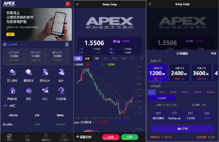 【微盘】新UI多语言微盘外汇系统/时间盘微盘源码-新码网
