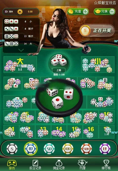 【运营服务器打包】骰宝最终幻想宝塔版本-新码网