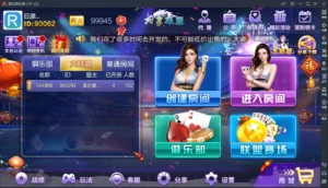 【大亨联盟】新版战斗牛+带机器人+带控制+不需要授权+完整运营版本+详情视频搭建教程-新码网