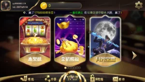 【TNT永盛娱乐】电玩城完整服务器打包数据+双端app正常-新码网