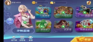 【网狐系列】新城娱乐电玩-新码网