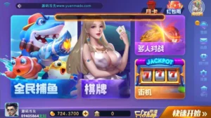 【网狐电玩系列】728电玩城棋牌组件带解密工具-新码网