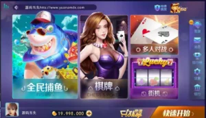 【网狐电玩系列】850经典版本棋牌游戏组件-新码网