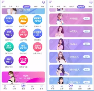 【完美修复版】天恒版通亚娱乐版本+双玩法盘口+独立代理系统-新码网
