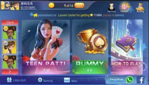 【网狐微星】棋牌系列国外印度游戏国际版本+H5+安卓-新码网