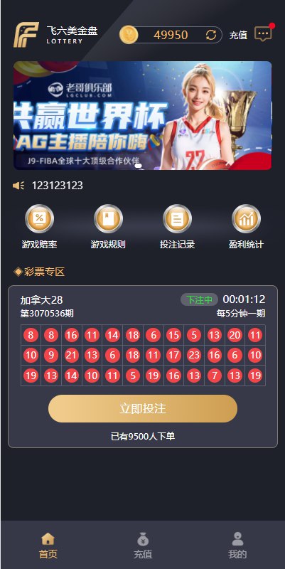 图片[3]-多语言加拿大28游戏源码/java开发pc28系统-新码网