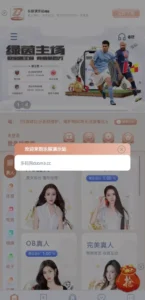 【bob体育综合娱乐】C系统乐娱游戏API接口+搭建教程-新码网