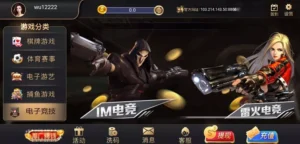 【PE包网】半岛棋牌娱乐程序-新码网