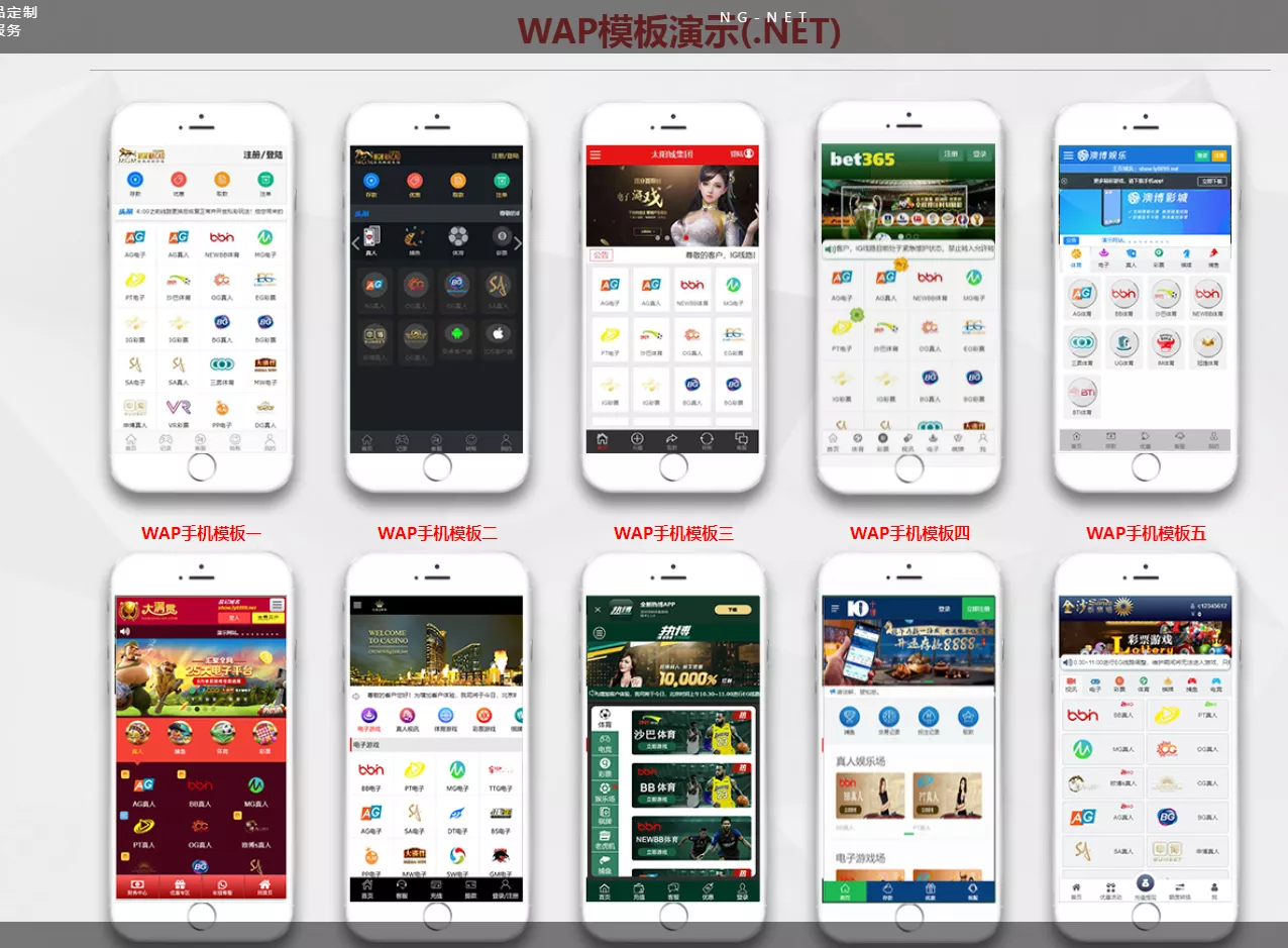 【NG游戏接口厂商多版】前端NET版本综合盘系统源码插图
