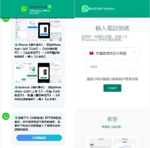 香港WhatsApp盗号系统//快产码WS盗号/前端uniapp解决爆红-新码网