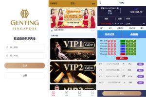 多语言pc28系统/28竞猜源码/批量预设开奖-新码网