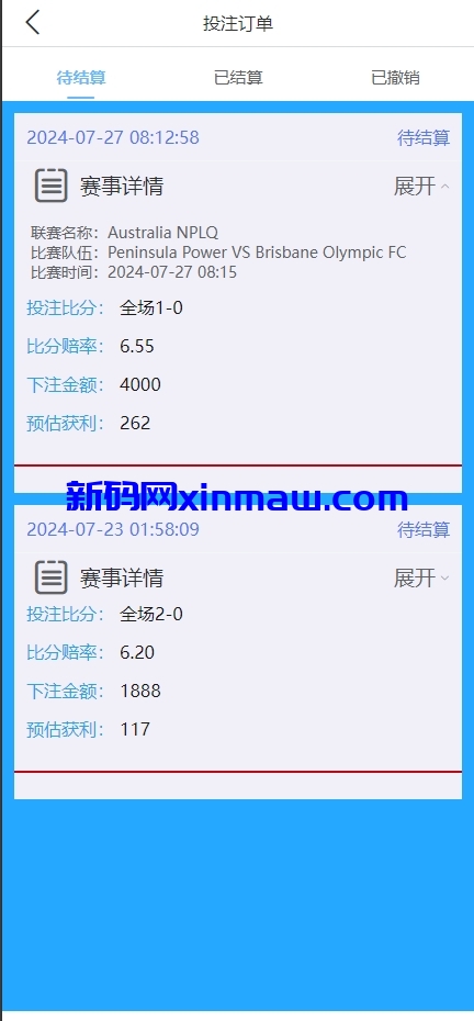 图片[9]-多语言反波胆系统/海外反波娱乐/自动采集自动开奖-新码网