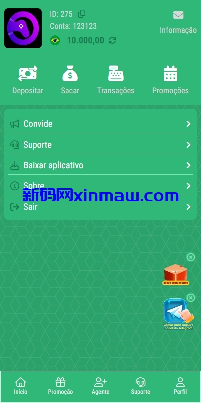 图片[16]-新版双UI巴西PG电子游戏源码/海外接口可控制-新码网