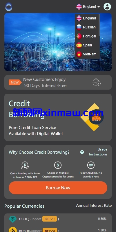 图片[3]-多语言借币系统/借币贷款/套路贷款/usdt贷款源码-新码网