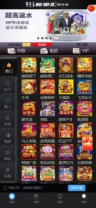 【美盛游戏二开UI】综合盘包网源码-新码网