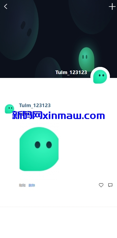 图片[9]-新版即时通讯系统/H5/电脑/APP/IM聊天交友系统-新码网