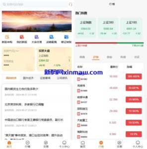 A股股票交易系统/新股申购/证券交易/前端VUE-新码网