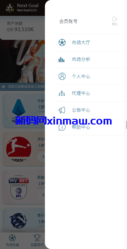 图片[15]-PC自适应反波胆系统/球盘源码/多级分销/充值返点-新码网