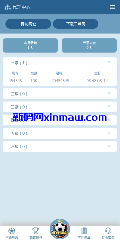 图片[17]-PC自适应反波胆系统/球盘源码/多级分销/充值返点-新码网
