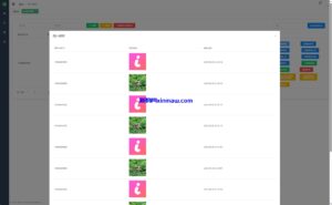 新版JAVA通讯录系统/TXL通讯录源码/前端原生-新码网