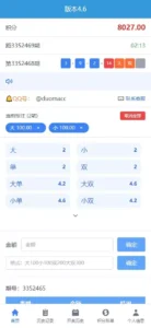 【反下加拿大28】28定制玩法+加拿大28-新码网