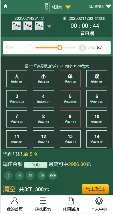 【多乐游戏】三主题模板彩票系统源码双玩法+分红契约洗码+usdt支付后台可控插图26
