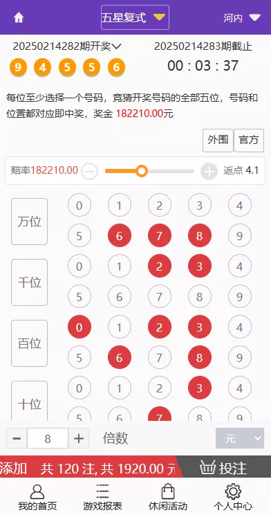 【多乐游戏】三主题模板彩票系统源码双玩法+分红契约洗码+usdt支付后台可控插图29
