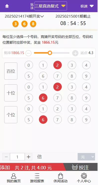 【多乐游戏】三主题模板彩票系统源码双玩法+分红契约洗码+usdt支付后台可控插图43