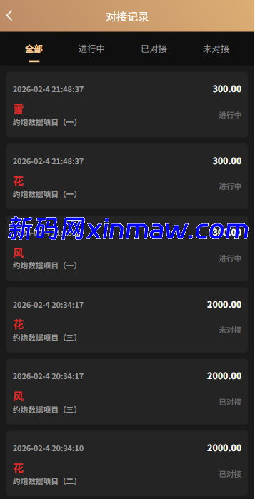 图片[11]-新版空降约炮系统/同城任务/系统彩预设/前后端VUE-新码网