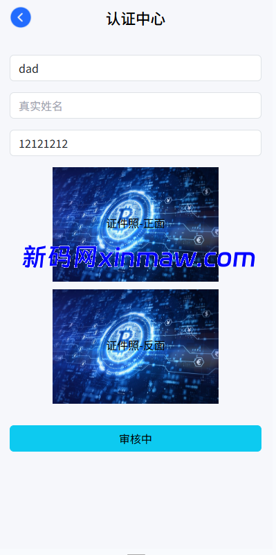 图片[11]-多语言虚拟币微盘/海外微交易/秒合约/时间盘-新码网