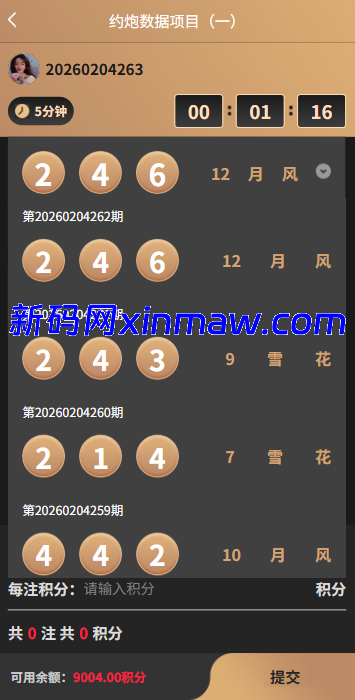 图片[4]-新版空降约炮系统/同城任务/系统彩预设/前后端VUE-新码网