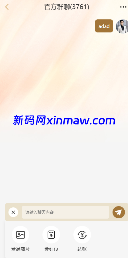 图片[8]-黄金投资跟单系统/投资理财/推广分销/聊天室-新码网