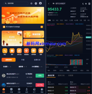 多语言交易所系统/永续合约交割合约/K线控制/C2C/借币-新码网