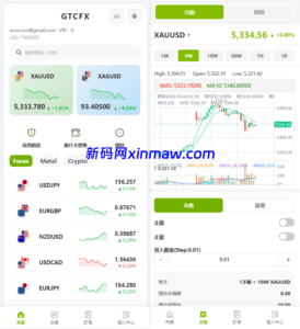 海外st7交易所系统/外汇/虚拟币/贷款/理财/AI控盘-新码网