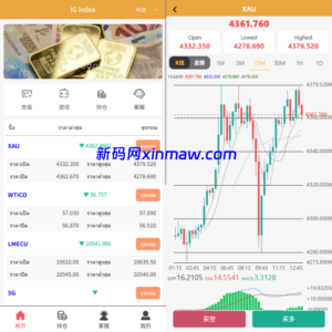 海外微交易系统/多语言微盘/外汇交易/时间盘-新码网