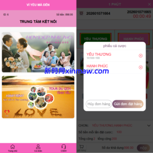 越南为爱投注系统/loveconnect投资/投注竞猜彩票-新码网