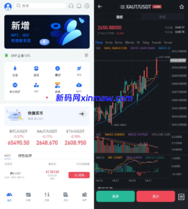 二开版海外交易所系统/币币期权杠杆交易/锁仓认购/合约插针 - 新码网-新码网