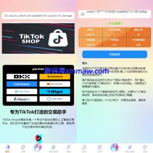 海外tiktok刷单抢单系统/多语言卡单连单/已内嵌tiktok-新码网海外源码