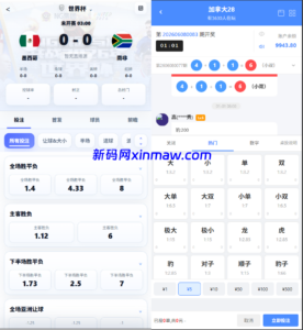 娱乐城综合游戏源码+本地彩票28/本地台球/本地体育赛事投注源码-新码网海外源码