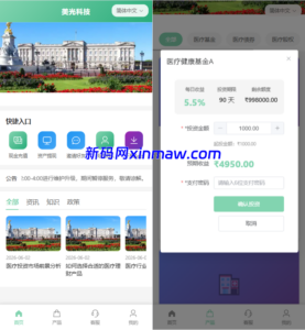 新版海外投资理财系统/医疗项目基金投资/贷款/余额宝-新码网海外源码
